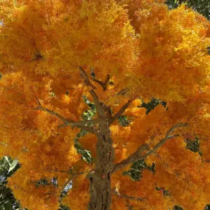 S9cba3bb89c8a45a1a0dede5b537ca9f8k