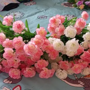 S9cdd286643754596ba49cd44c769a37eH