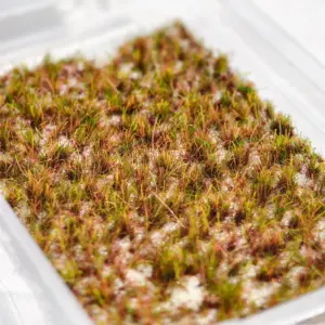 S9d91b85ba29d4cc3bcfa61cf02c94c19B