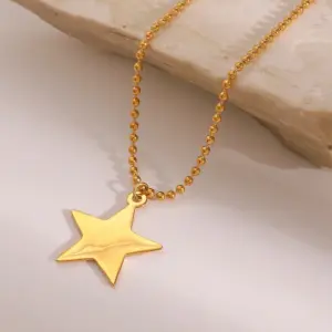 Stainless Steel Star Pendant Necklace 10 S9f71b8595eeb48ed8ee5d3dd0abab65fz