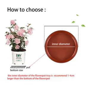 S9fa4f35d66ff49c997ee5d7536128279z