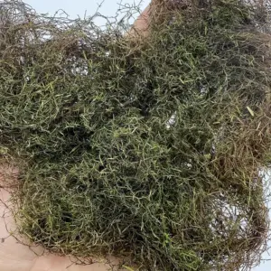 Realistic Miniature Hay Scene Model in 12 Colors 15 Sa32c8d9a89f7448bad8580d81b4cef87A