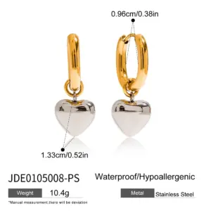 Stainless Steel Gold and Silver Earrings 13 Sa3fb6f56cd49425fbb79ac709337069fr