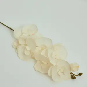 Sa4ac8bbcd62d459b89444deee453f369e