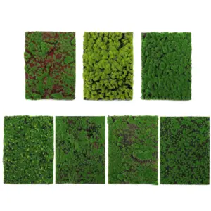 Artificial Moss Tuft Grass Mat for Miniature Landscaping 11 Sa5134a0ca9fd4b3d845b658f67fc43d1G