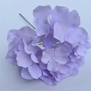 Sa75d26ed14db42eeb3d995f29b9f4d9fU