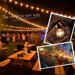 Sa92df5ed39284b518b6b33447f7a7d7cp