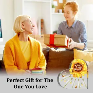 Sa97946daf4194234aae997755dc99efeO