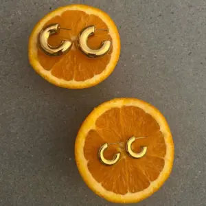 Gold Stainless Steel C-Shaped Earrings