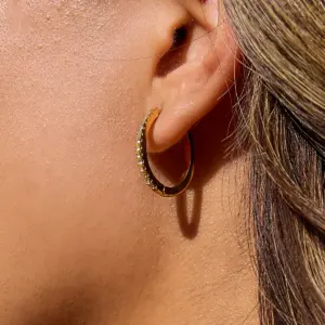 Gold Stainless Steel Hoop Earrings with Zirconia 8 Sac807dba2efe4701a147a9b26ee1e760t