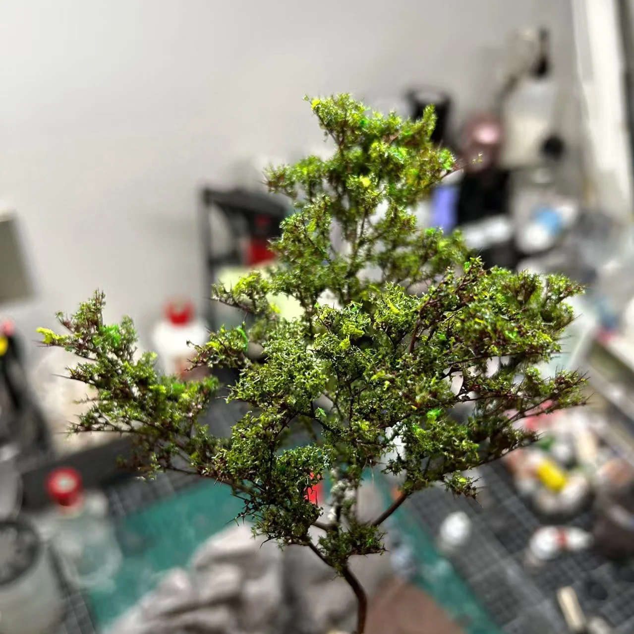 Simulation Tree Powder Foliage for Miniatures 5 Simulation Tree Powder Foliage for Miniatures - Image 5