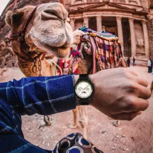 Sae81ca5a18a84034a0be9441d84b6a0fY