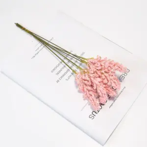 Saeac9fb21a054ac399fc41b9eaccec436