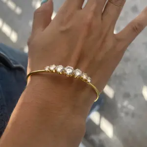 Saee3ac7c8aa94b00b2b1487ae6916c27K