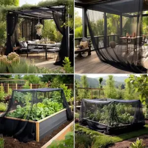 Saef13cca1be84186b859bbda5dea76508