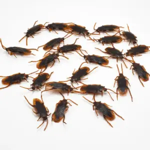 Realistic Plastic Cockroaches for Pranks (Set of 5-50) 12 Saf5135db5405410db061bea1cfa3bdacY