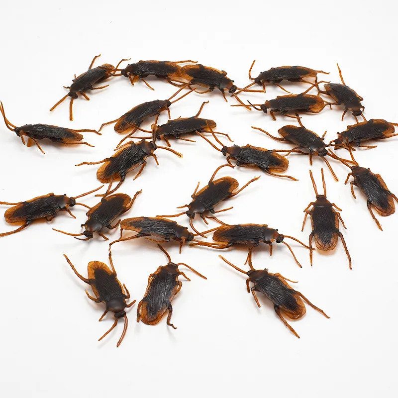 Realistic Plastic Cockroaches for Pranks (Set of 5-50) 3 Realistic Plastic Cockroaches for Pranks (Set of 5-50) - Image 3