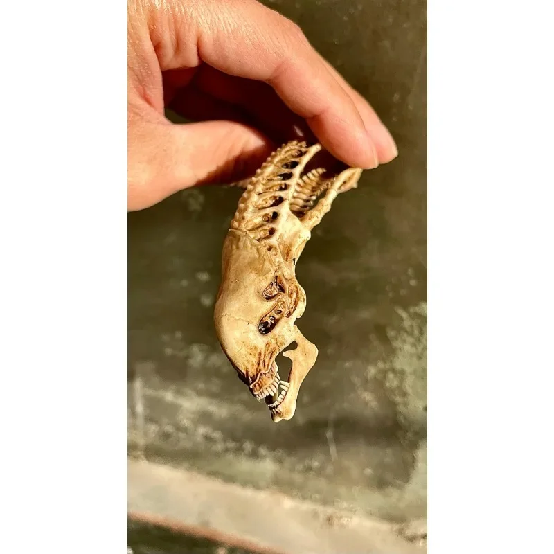 Deformed Alien Skull Miniature Set for Collectors 6 Deformed Alien Skull Miniature Set for Collectors - Image 6