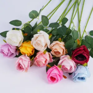 Sb139b953d09545489948f0cc62fdbc323