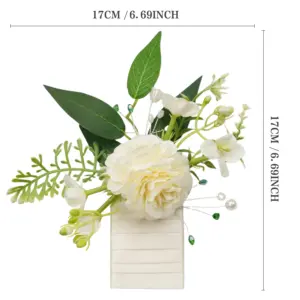 Sb2045878063d4f1f929a661706ecb3ed2