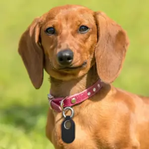 Vibrant TPU Silicone Case for Samsung Galaxy SmartTag 2 14 Sb4860e3d4dcf497c84696ac84e2e5930O