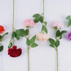 Sb51960bfd1374a6a957a6dc6c6664167Q