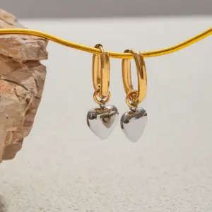 Stainless Steel Gold and Silver Earrings 11 Sb7996fed593449b8b19910570e55f9cbc