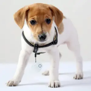 iTrack Motion GPS Key Finder 35mm x 35mm 9 Sb8356800dc034155aa3a815b9b8216a6N