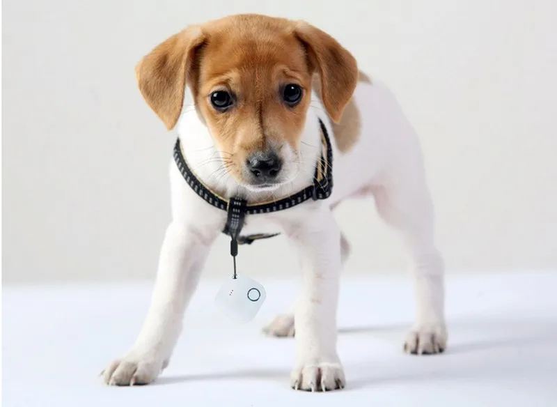 iTrack Motion GPS Key Finder 35mm x 35mm 4 iTrack Motion GPS Key Finder 35mm x 35mm - Image 4