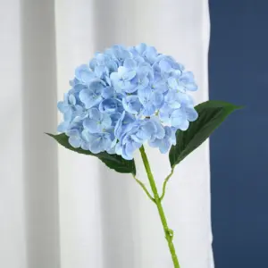 Sb83d0218a68140d1bf8ed39c81631e2fA