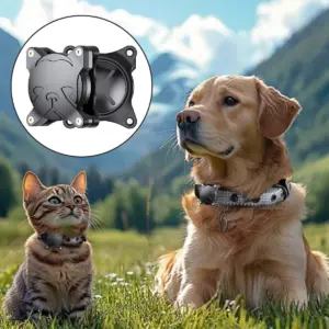 Sb8a9c7b9330b4c94a5da2ad03a870f923