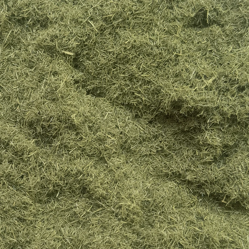 Lush Green Model Grass Powder for Dioramas 4 Lush Green Model Grass Powder for Dioramas - Image 4