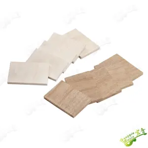 Guitar Head Fracture Repair Gasket Set 11 Sbbb6bd4334f6418e857816a25b19cd76W