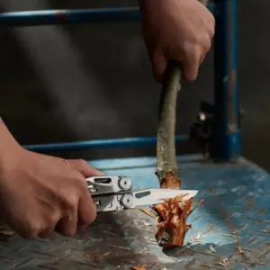 Sbc11074e34414ff9b23d65c77f04836bN