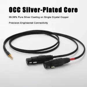 Sbc3118586d4b459d8d4098444b54b27af