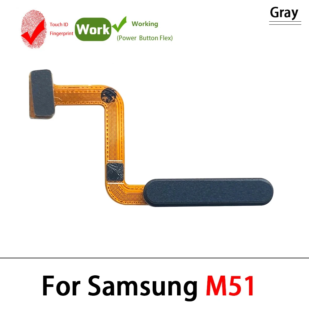 Samsung Galaxy M14 5G Home Button Flex Cable 10 Samsung Galaxy M14 5G Home Button Flex Cable - Image 10