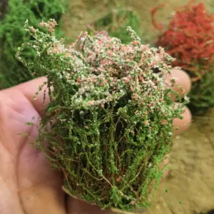 Sbc6482e949d8467bbf794459a61dd3aeL