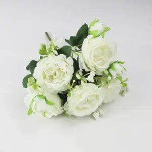 Sbc6b067a7d3340a593863669845c8d55X