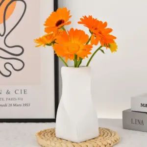 Sbd67213447a4486587260e4b4e828c4a9