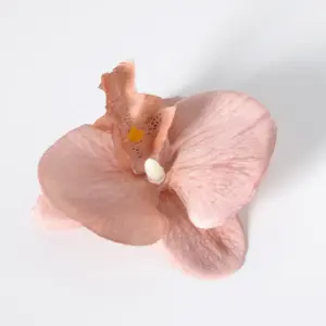 Sbeab9634afba47809ca89a7c68206bbbV