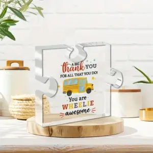 Colorful School Bus Appreciation Acrylic Ornament 9 Sc10f7b0c579a45c69b20d937b48ce1ffh