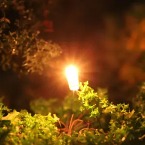 Sc371972414494292940b02a7daaa61c9e