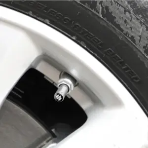 Sc3d2c29ba1fb49549681c80474e8dc3cx