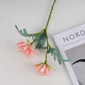 Sc52914af3e0b451c9d8678210867e265a