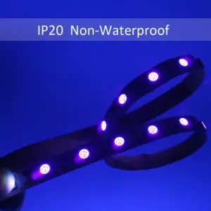 Sc5c84ff0687041efad43b5a216516d6aI