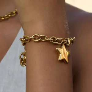 Gold Stainless Steel Star Bracelet JDB0305012 8 Sc6e6baba08df45db85e58f611a66aa6aa