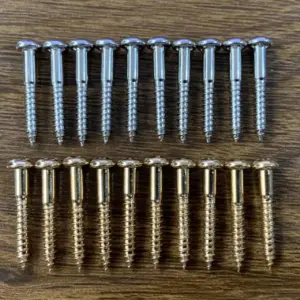 Guitar Bridge and Tailpiece Screw Set - 10 pcs