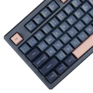 GK5 PBT Double Shot Keycap Set for MX Layouts 9 Sc8f5c8fde934402d9037a9470b454817J