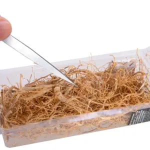 Sc991e5592637424ab7374530ccbf5fe3R