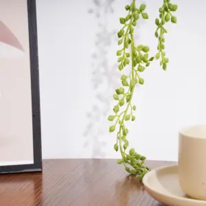 Scc98a59b779c43c088a4c4923c307e83E